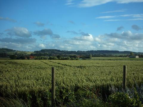 Huis Den Keibilk Heuvelland Luaran gambar